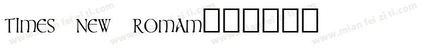 times new romam字体转换